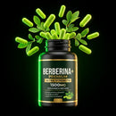 Berberina SECA MAX™ Pierde kilos desde la primera semana